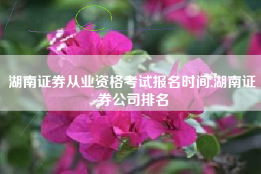 湖南证券从业资格考试报名时间,湖南证券公司排名