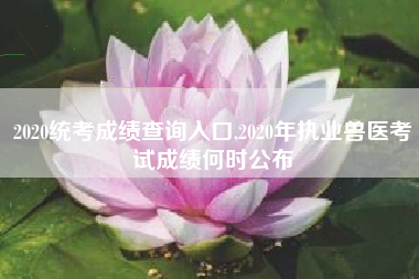 2020统考成绩查询入口,2020年执业兽医考试成绩何时公布