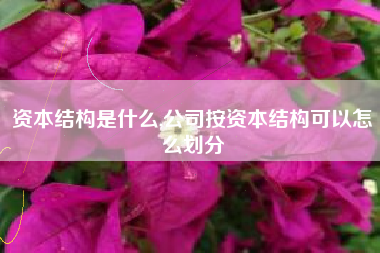 资本结构是什么,公司按资本结构可以怎么划分