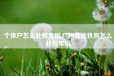 个体户怎么补报年报,广州营业执照怎么补报年报