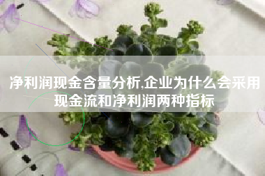 净利润现金含量分析,企业为什么会采用现金流和净利润两种指标