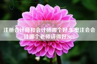 注册会计师和会计师哪个好,东奥注会会计哪个老师讲得好2021