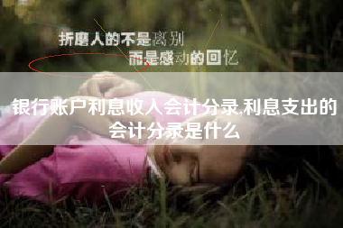 银行账户利息收入会计分录,利息支出的会计分录是什么