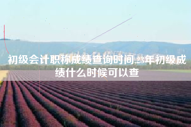 初级会计职称成绩查询时间,23年初级成绩什么时候可以查