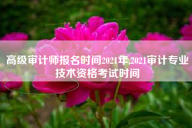 高级审计师报名时间2021年,2021审计专业技术资格考试时间