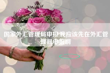 国家外汇管理局申报,我应该先在外汇管理局申报啊