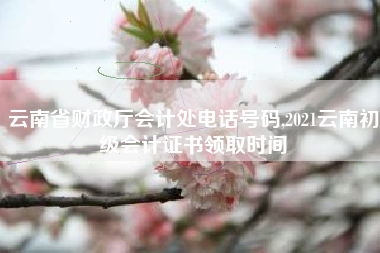 云南省财政厅会计处电话号码,2021云南初级会计证书领取时间