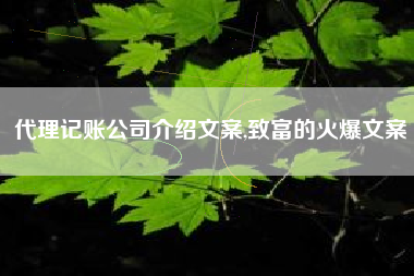 代理记账公司介绍文案,致富的火爆文案