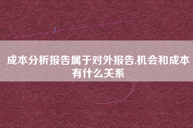 成本分析报告属于对外报告,机会和成本有什么关系