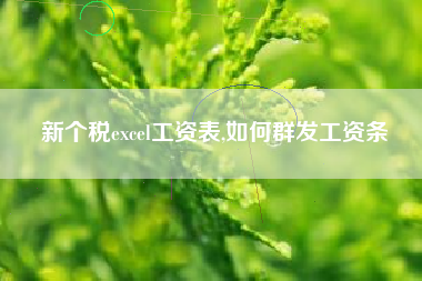 新个税excel工资表,如何群发工资条