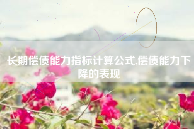长期偿债能力指标计算公式,偿债能力下降的表现