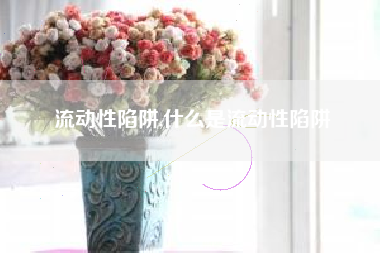 流动性陷阱,什么是流动性陷阱