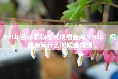 2021年会计职称考试成绩查询,2021年二级建造师什么时候查成绩