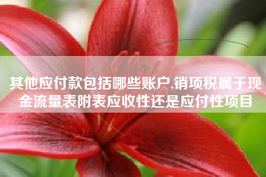 其他应付款包括哪些账户,销项税属于现金流量表附表应收性还是应付性项目
