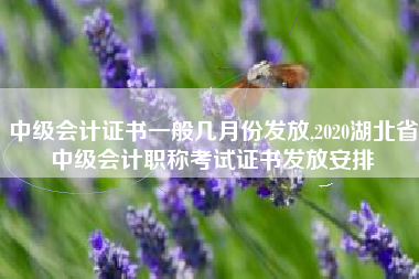 中级会计证书一般几月份发放,2020湖北省中级会计职称考试证书发放安排