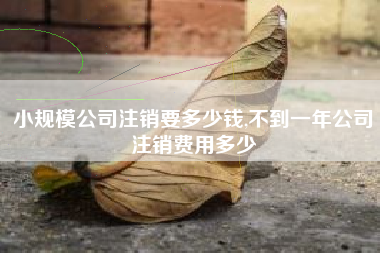 小规模公司注销要多少钱,不到一年公司注销费用多少