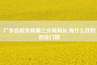 广东省税务局第三分局局长,有什么好的创业门路