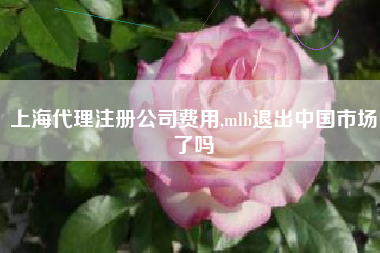 上海代理注册公司费用,mlb退出中国市场了吗
