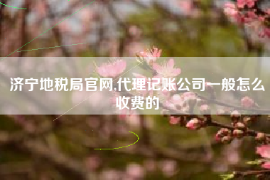济宁地税局官网,代理记账公司一般怎么收费的