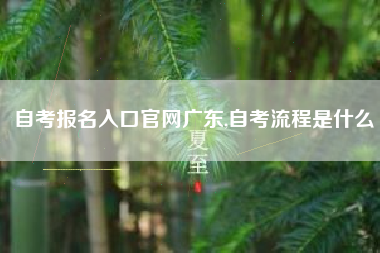 自考报名入口官网广东,自考流程是什么