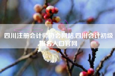 四川注册会计师协会网站,四川会计初级报名入口官网