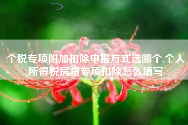 个税专项附加扣除申报方式选哪个,个人所得税房贷专项扣除怎么填写