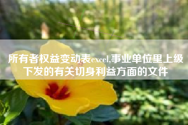 所有者权益变动表excel,事业单位里上级下发的有关切身利益方面的文件