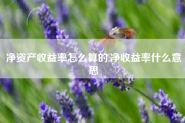 净资产收益率怎么算的,净收益率什么意思