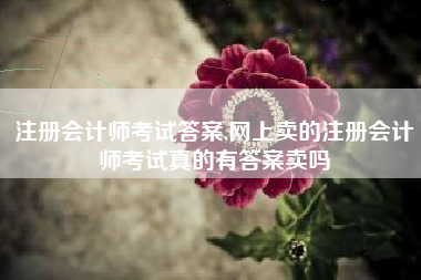 注册会计师考试答案,网上卖的注册会计师考试真的有答案卖吗