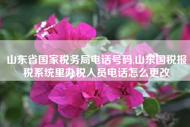 山东省国家税务局电话号码,山东国税报税系统里办税人员电话怎么更改
