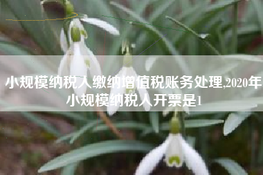 小规模纳税人缴纳增值税账务处理,2020年小规模纳税人开票是1