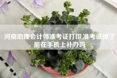 河南助理会计师准考证打印,准考证掉了能在手机上补办吗