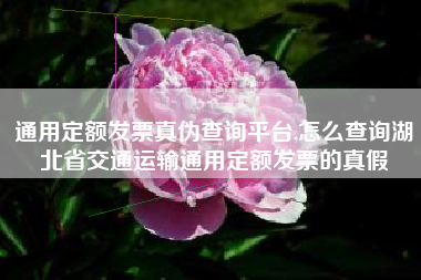通用定额发票真伪查询平台,怎么查询湖北省交通运输通用定额发票的真假