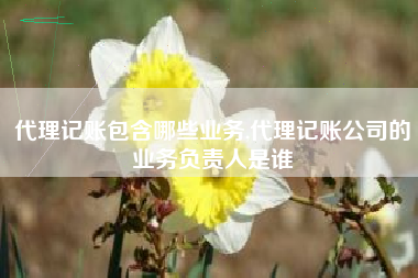 代理记账包含哪些业务,代理记账公司的业务负责人是谁