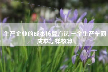 生产企业的成本核算方法,三个生产车间成本怎样核算