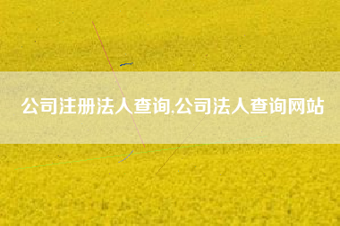 公司注册法人查询,公司法人查询网站