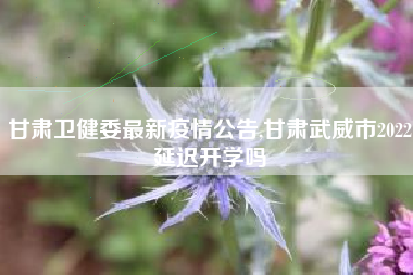 甘肃卫健委最新疫情公告,甘肃武威市2022延迟开学吗