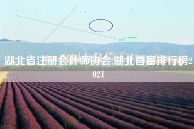 湖北省注册会计师协会,湖北首富排行榜2021