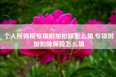 个人所得税专项附加扣除怎么填,专项附加扣除保险怎么填