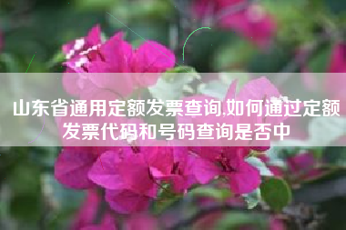 山东省通用定额发票查询,如何通过定额发票代码和号码查询是否中