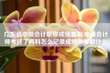 广东省中级会计职称成绩查询,中级会计师考过了两科怎么记录成绩需要做什么