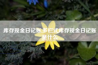 库存现金日记账,多栏式库存现金日记账是什么