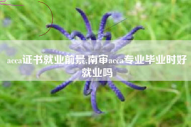 acca证书就业前景,南审acca专业毕业时好就业吗