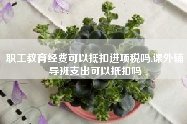 职工教育经费可以抵扣进项税吗,课外辅导班支出可以抵扣吗
