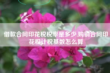 借款合同印花税税率是多少,购销合同印花税计税基数怎么算