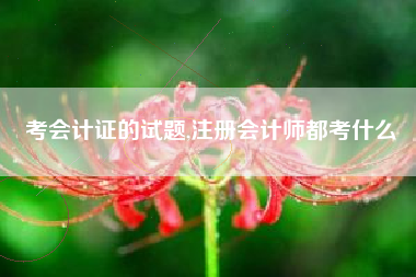 考会计证的试题,注册会计师都考什么