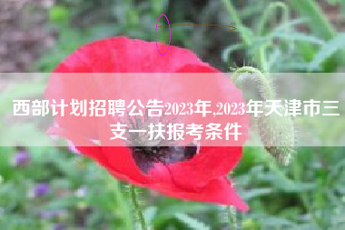 西部计划招聘公告2023年,2023年天津市三支一扶报考条件