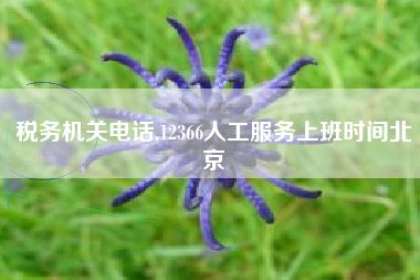 税务机关电话,12366人工服务上班时间北京