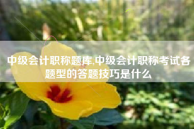 中级会计职称题库,中级会计职称考试各题型的答题技巧是什么