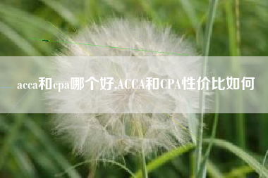 acca和cpa哪个好,ACCA和CPA性价比如何